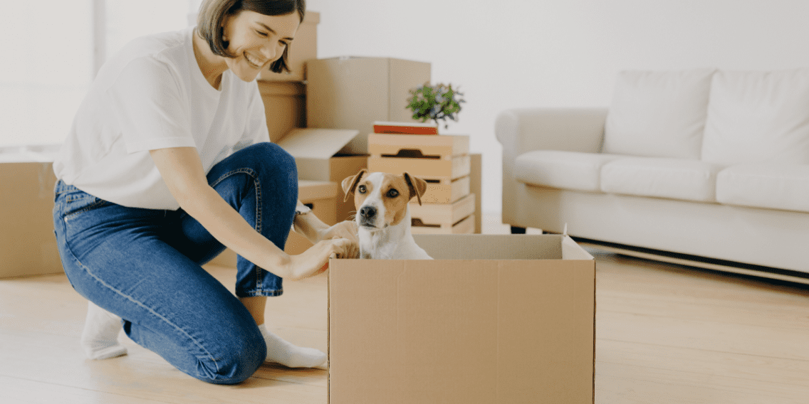 10 Tips for Moving With Pets