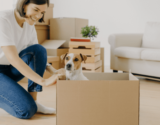 10 Tips for Moving With Pets