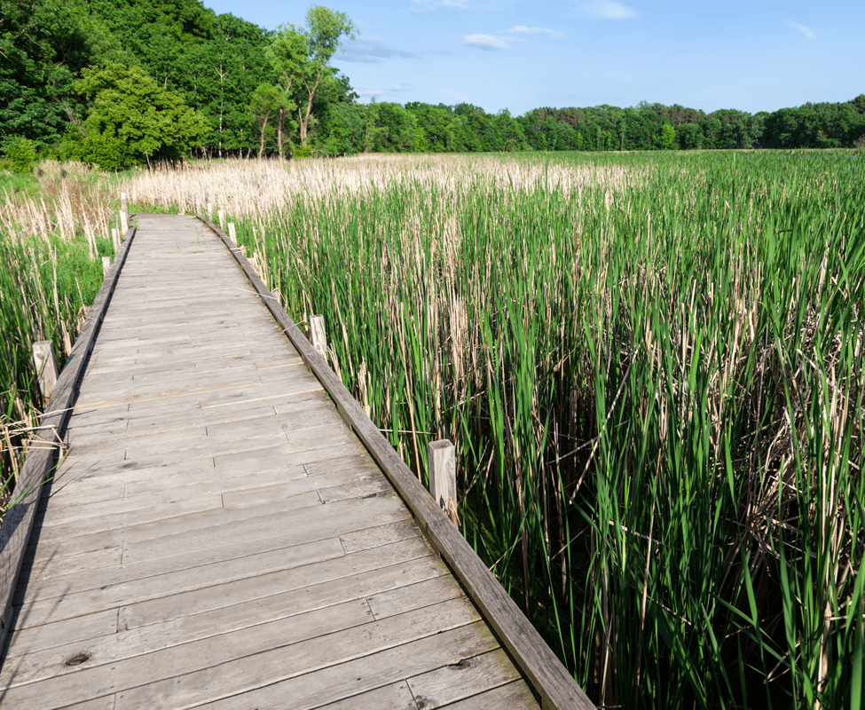 Lake Elmo. Nature landscape. Lake Elmo Movers - Piepho Moving & Storage