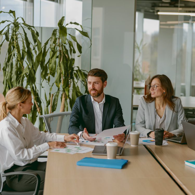 A diverse, talented team collaborates effectively in a bright office space during a business meeting
