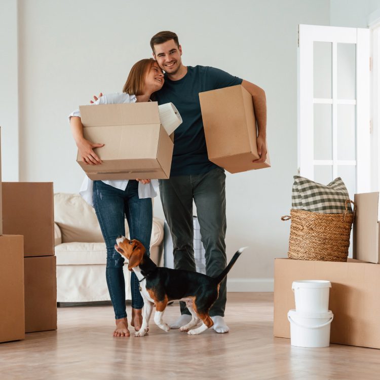 Walking, holding boxes and smiling. Young couple with dog are moving to new home.