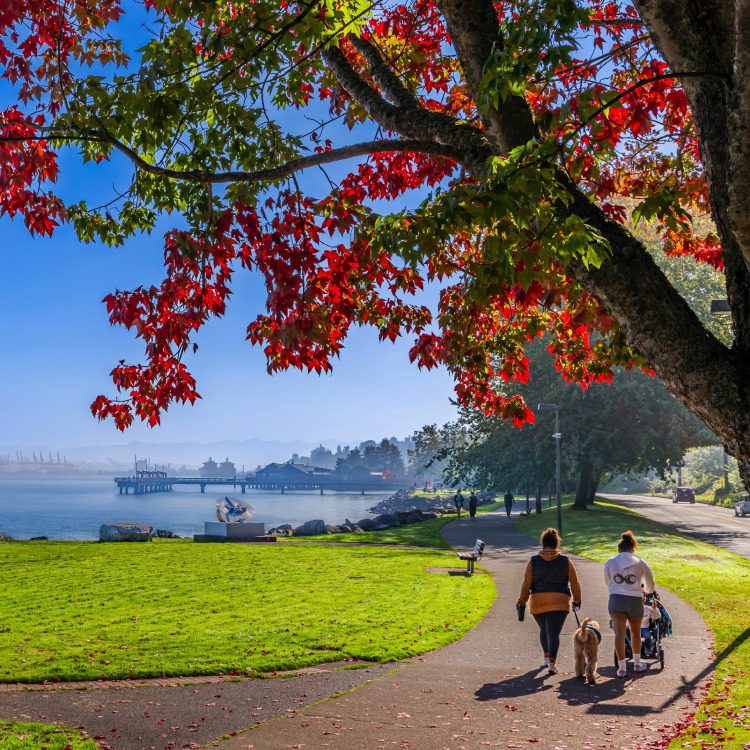 Beautifil scenery of Seattle parks and streets in Autumn.