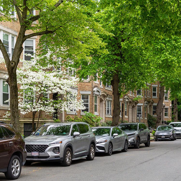 Boston neighborhood