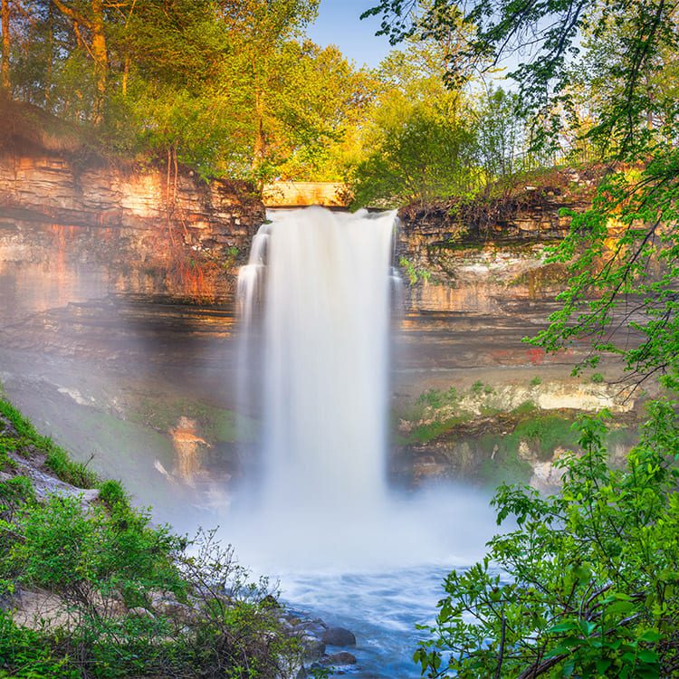 A picturesque waterfall flows surrounded by dense trees and rich green grass, highlighting the beauty of nature.