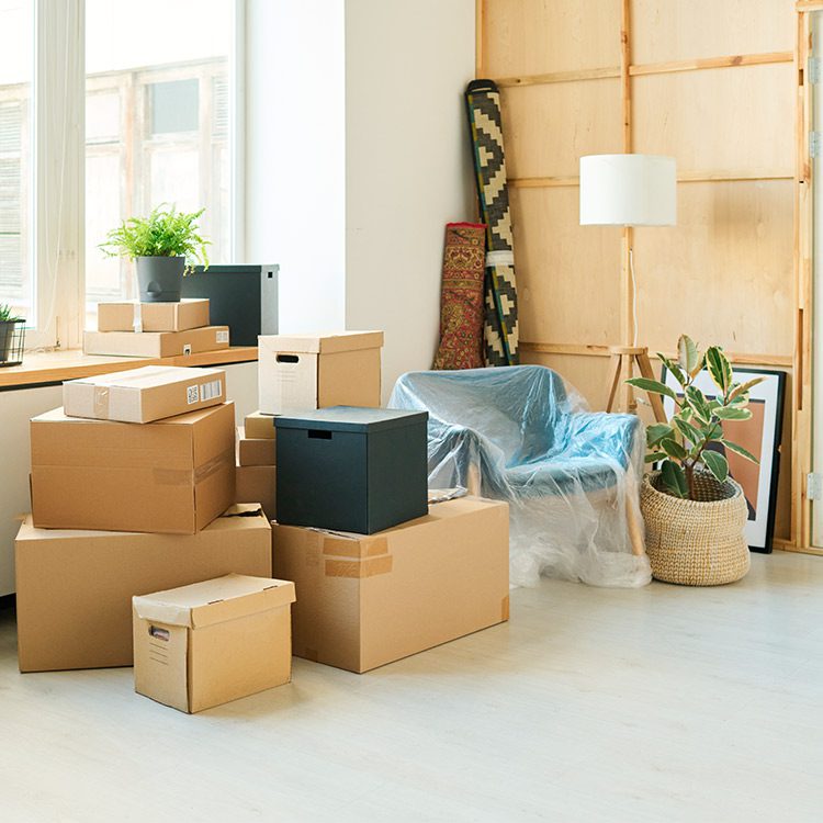 pro moving boxes for expert mover in a room full off things.