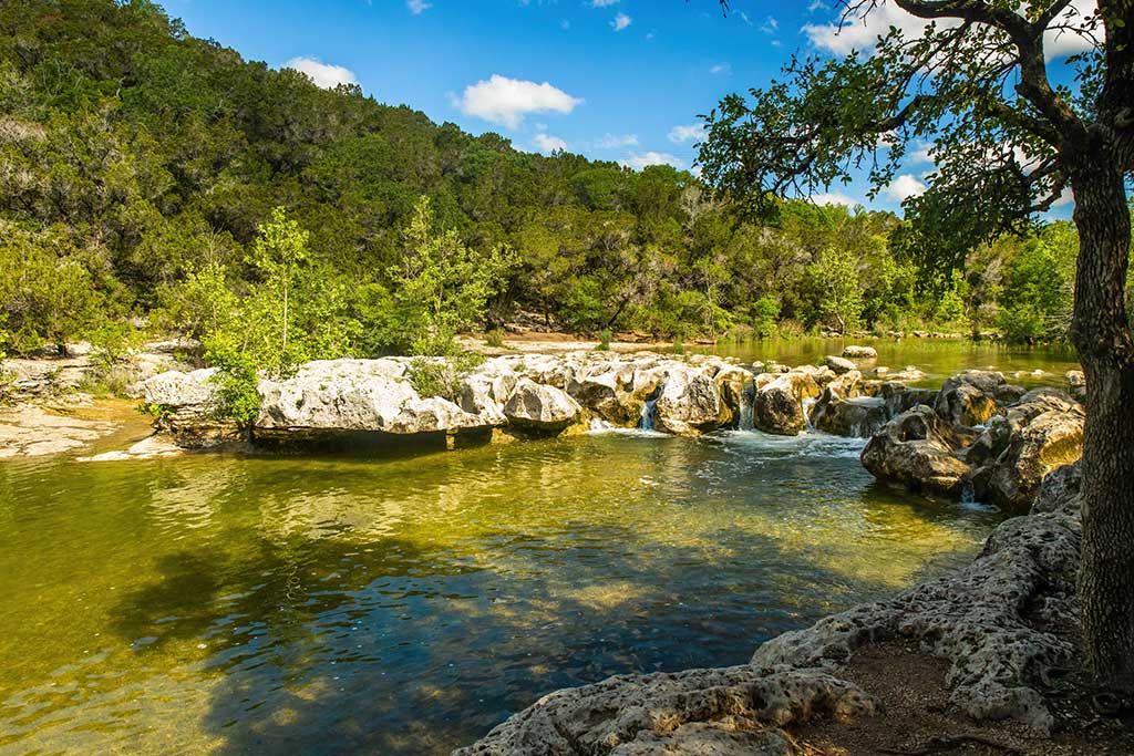 A tranquil river meanders through a dense forest, with scattered rocks and trees enhancing the natural landscape. Austin