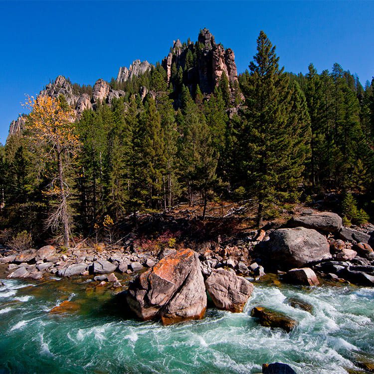 A tranquil river with smooth rocks and trees in the background, depicting the natural beauty of Montana's wilderness.