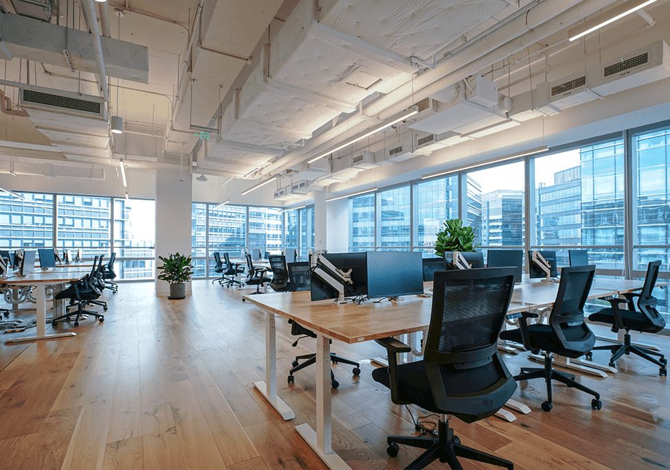 Modern office space with wooden floors, large windows, and rows of desks equipped with ergonomic chairs and plants.
