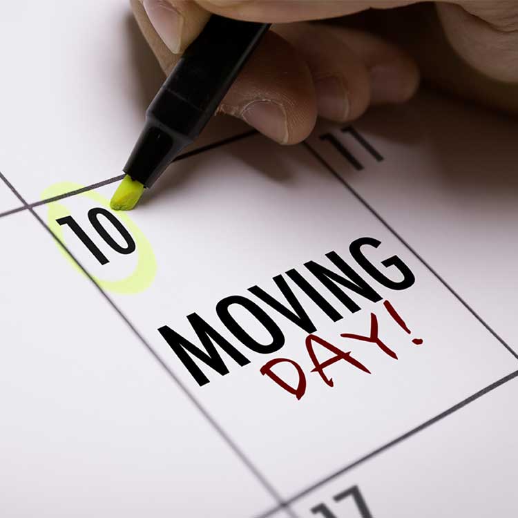 Moving day calendar detailing the schedule for relocating from Minneapolis, MN to Miami, with key dates and reminders.