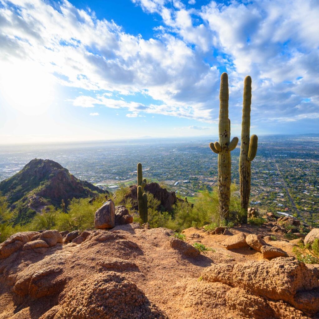 Camelback Mountain Cactus at Sunrise